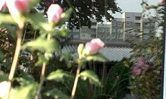 Monika Schükher mit Bonnie, Filmfest Hamburg